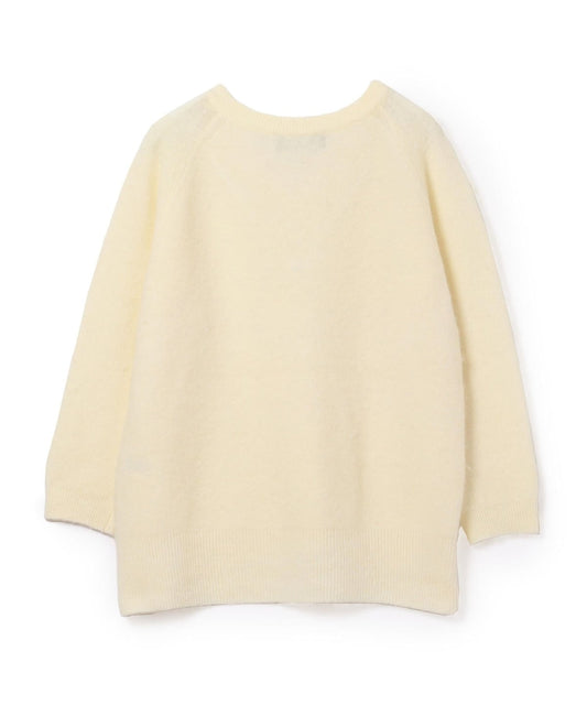 〈手洗い可能〉ウールアルパカVネックプルオーバー