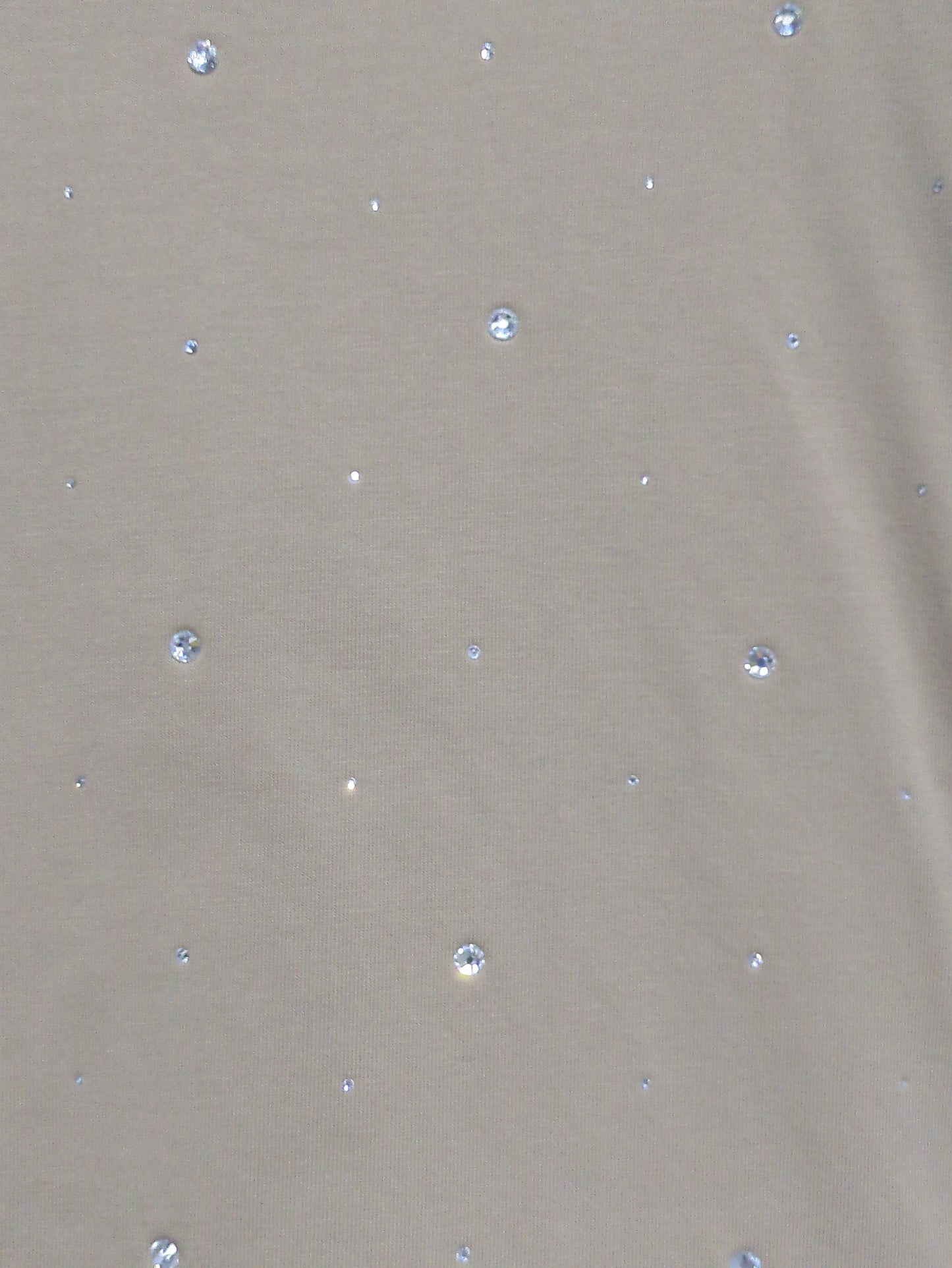 【WEB限定】〈手洗い可能〉ラインストーン ワイド TEE