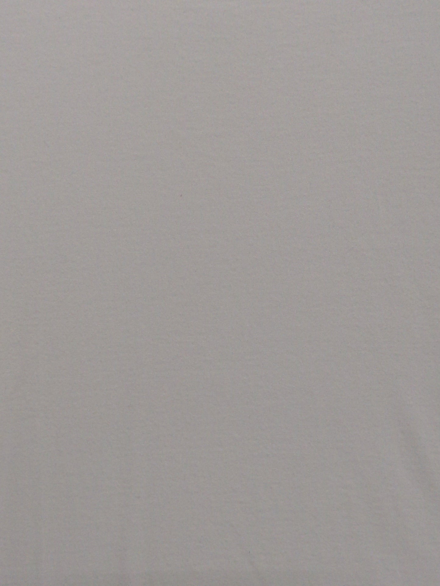 HANES:Tシャツ/カットソー